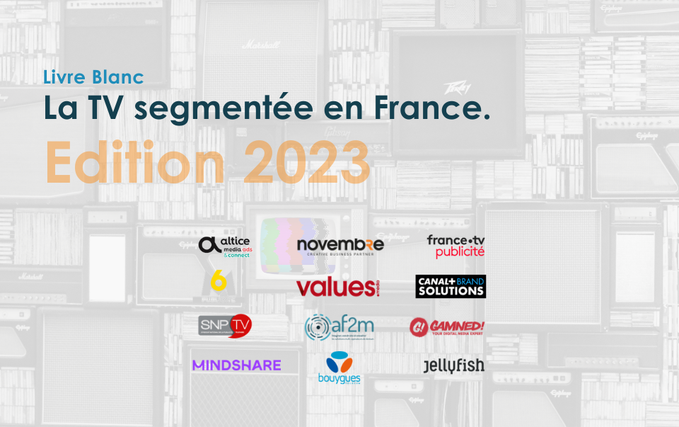 TV segmentée france 2023